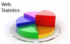  Web Statistics 