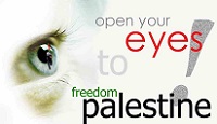  Freedom Palestine 