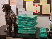  70lbs of cocaine 