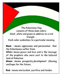  Palestine Flag 