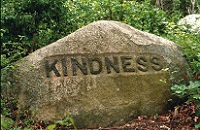  Kindness 